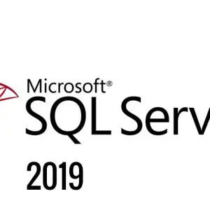 Microsoft Sql Server Standard 2019