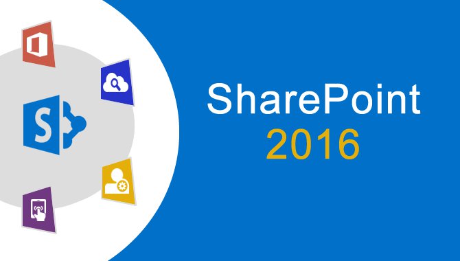 Buy Microsoft SharePoint Product Key