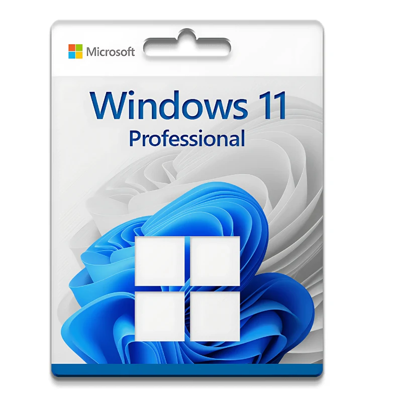 Microsoft Windows 11 Professional